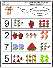 okul öncesi çocuklar için sayı çalışmaları